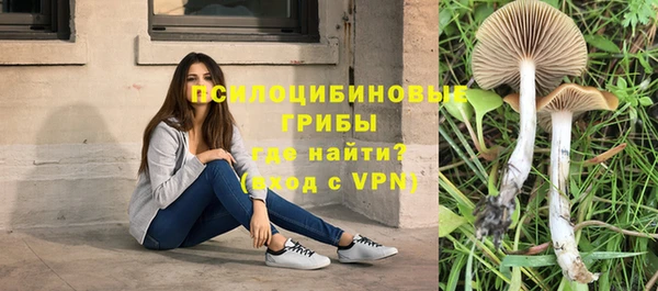 apvp Алексин