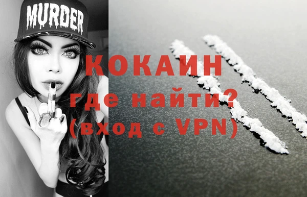 крисы Алзамай
