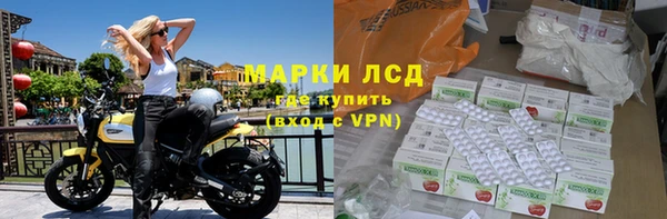 крисы Алзамай
