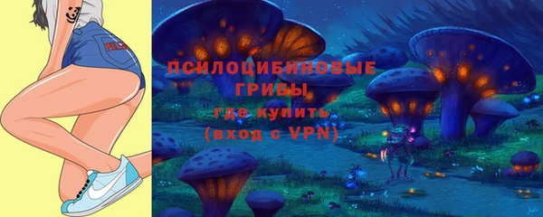 крисы Алзамай